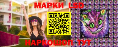 ECSTASY Новозыбков