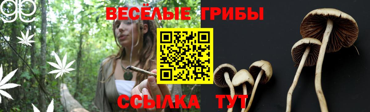 Псилоцибиновые грибы GOLDEN TEACHER  Вход с VPN  Пушкино 
